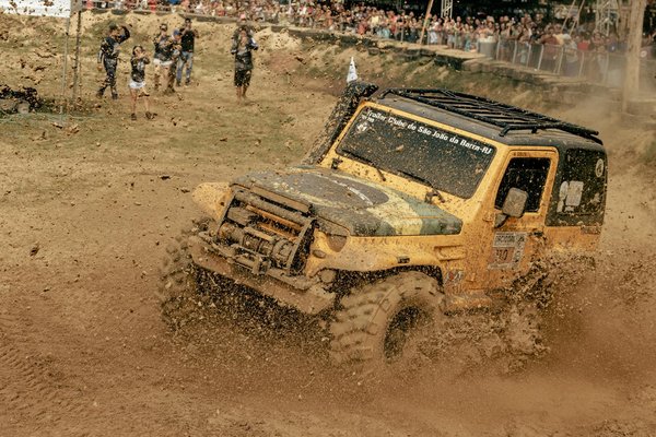 Quelles sont les tendances futures du marché des véhicules électriques ?