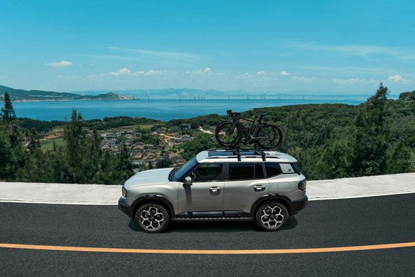 L'histoire des voitures de course